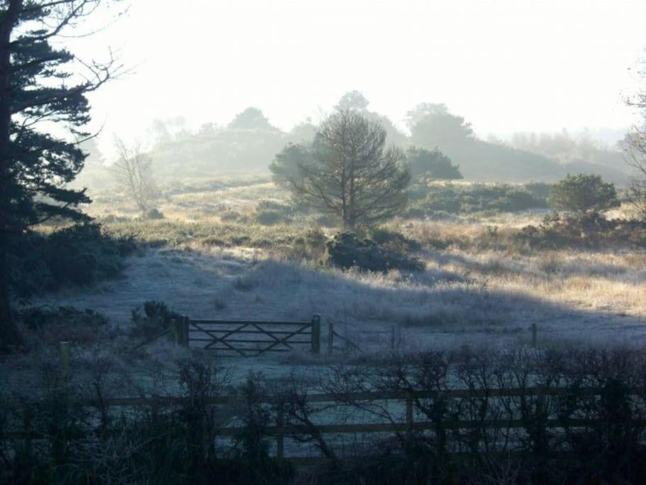 וורהאם Home In Dorset, Near Jurassic Coast And Arne מראה חיצוני תמונה